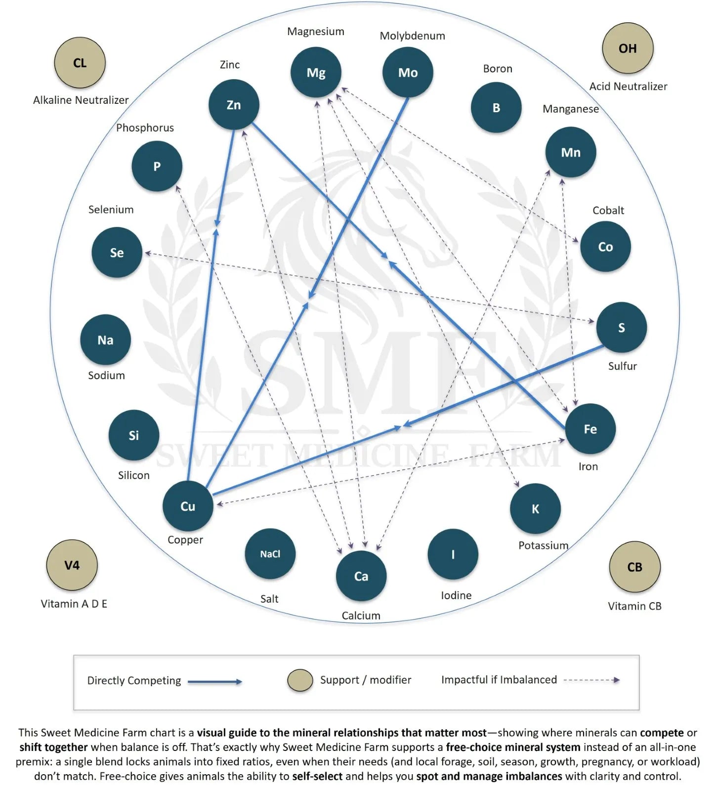 Diagram of the Sweet Medicine Farm Free Choice Horse Mineral Buffet system showing the full range of minerals offered for self-selection