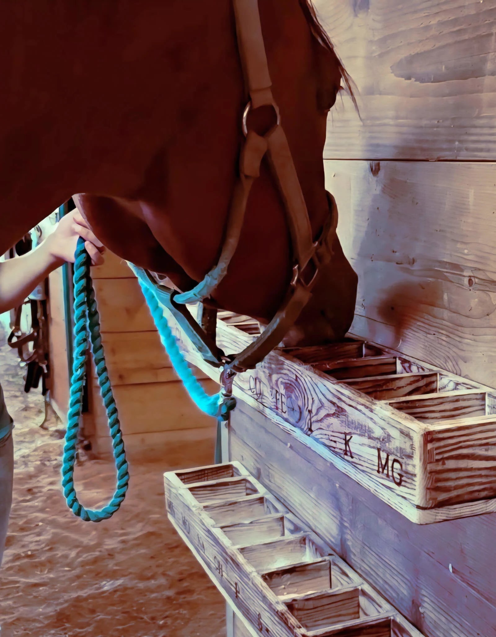 Close-up of wooden horse mineral feeder designed for free choice mineral buffet feeding